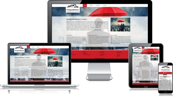 Website laten maken in Steenwijk